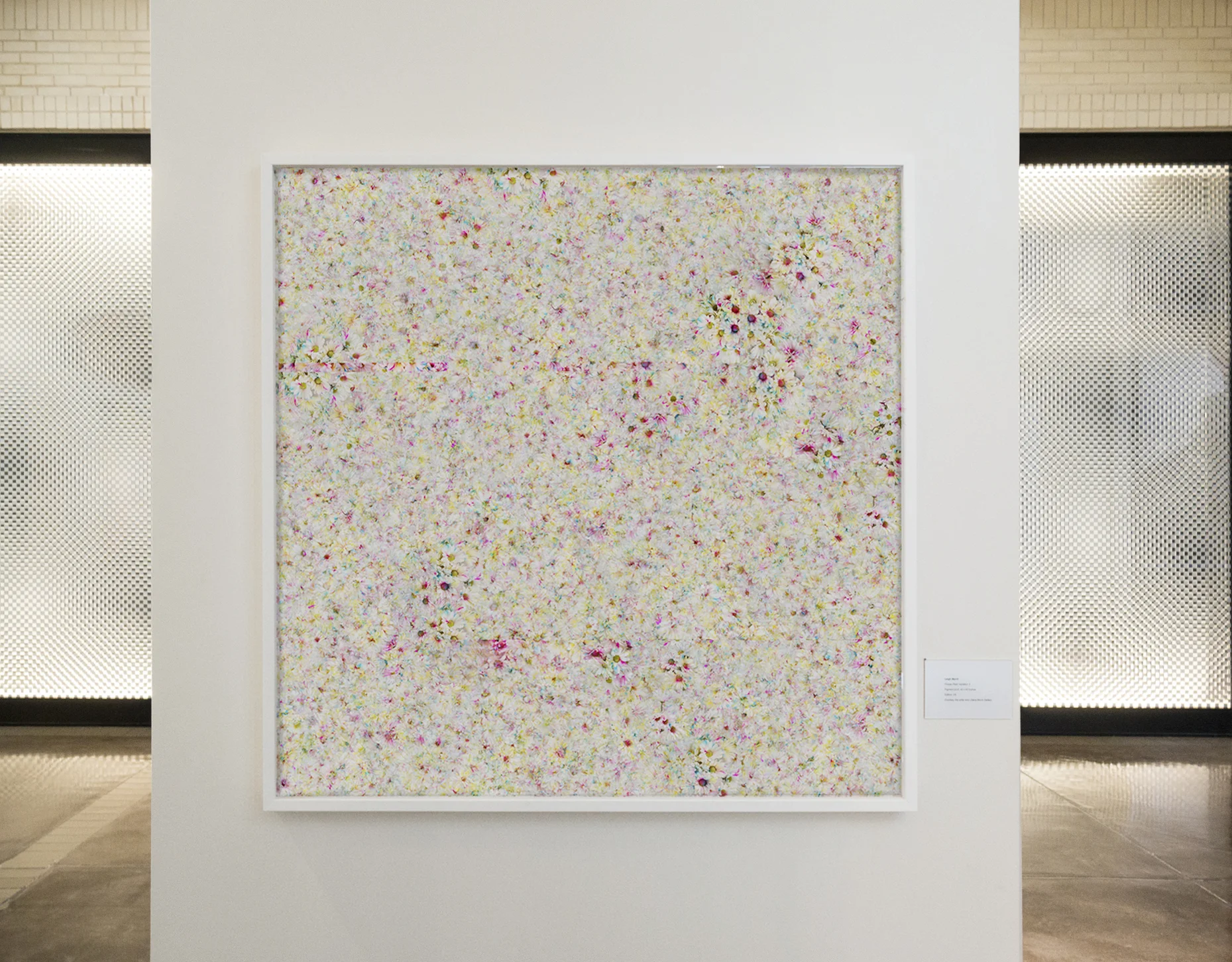 Installation view, Flower Field Variation 3 in Flower Power exhibition at NorthPark, Dallas, TX, 2017