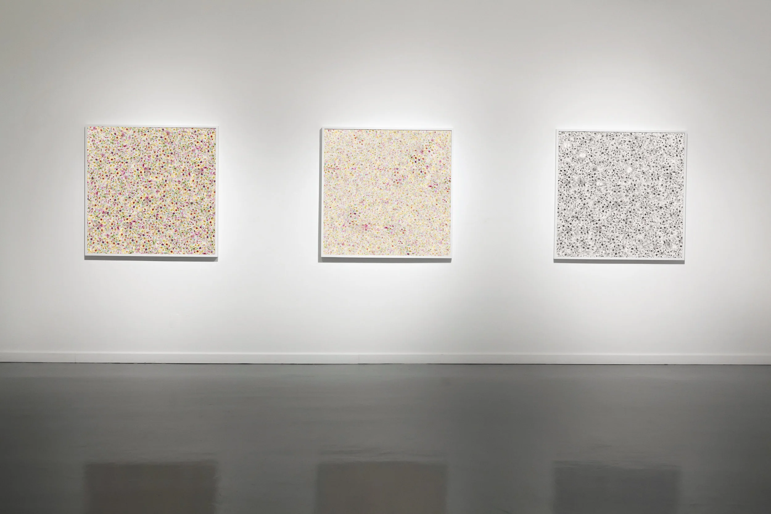 Flower Field Variations 1,2,3, at University of Texas Arlington Gallery, Arlington, TX, 2017