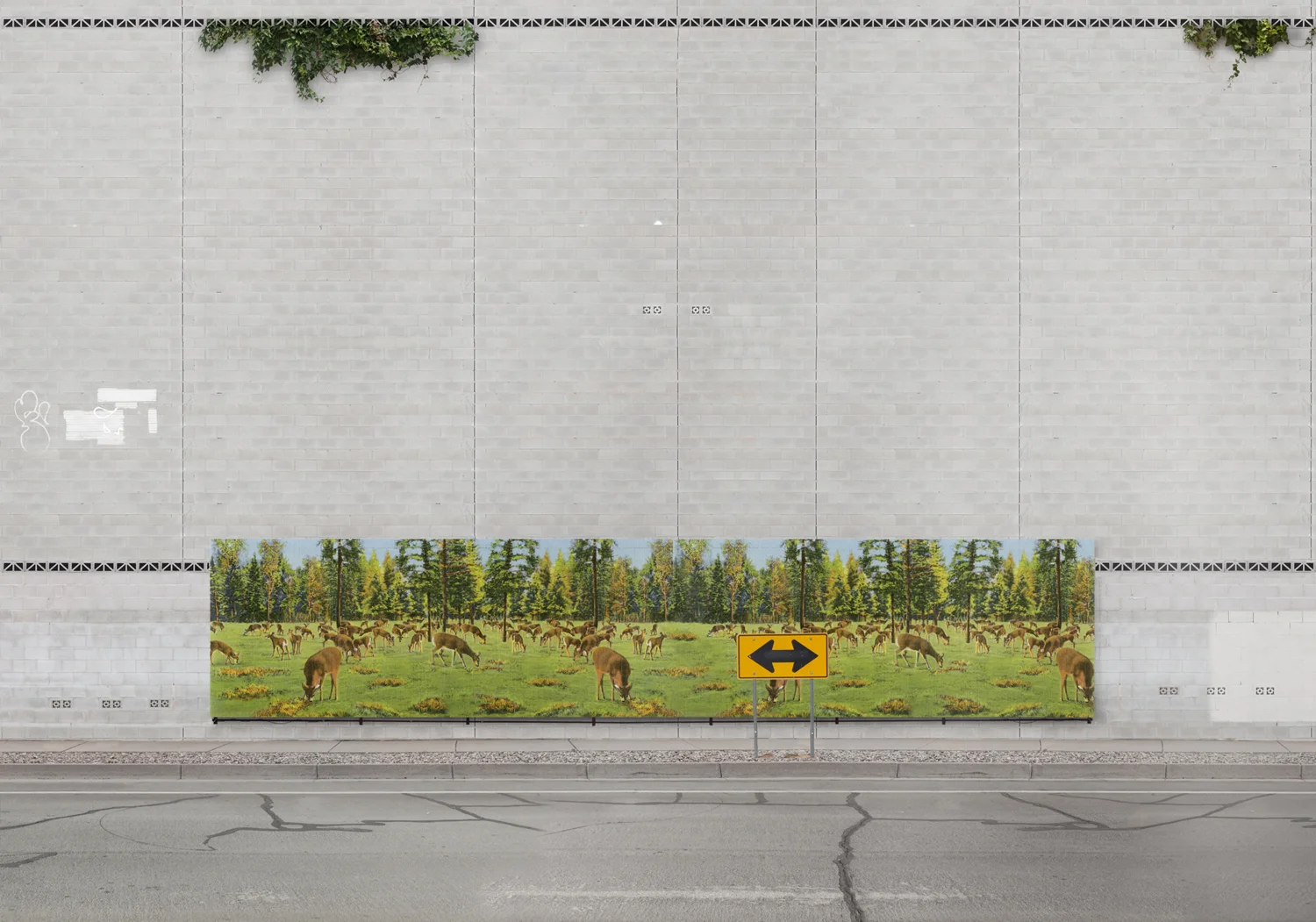 Denizens in the Forest , 23 x 33 inches, archival pigment print, 2014