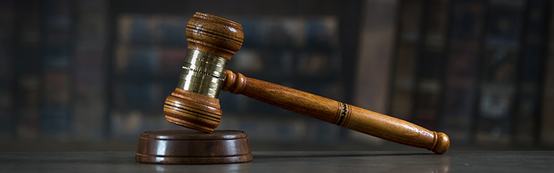 LWVCC_SubBanner_Gavel.jpg