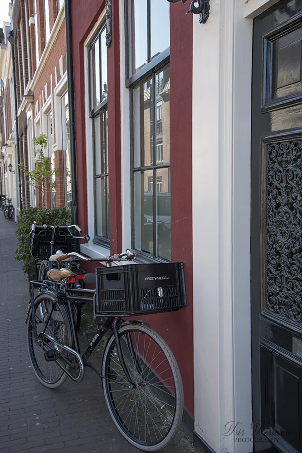 IT_2018_NetherlandsTrip_1044.jpg