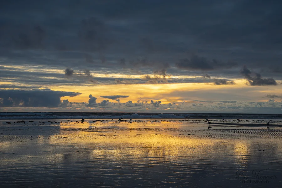 IT_July172019_CannonBeachSunset_0168.jpg