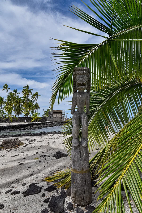 Teeuwen_2019_HawaiiBigIsland_2465.jpg