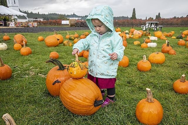 Pumpkin Patch photos!
https://www.iristeeuwenphotography.com/event-photography
.
.
.
.
.
#travel #traveling #photography #photographer #photograph #portraits #portrait #portraitphotography #photo #baby #babyphotography #photoshoot #babyphotos #babyph