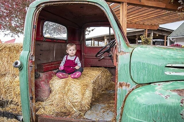 Pumpkin Patch photos!
https://www.iristeeuwenphotography.com/event-photography
.
.
.
.
.
#travel #traveling #photography #photographer #photograph #woodenshoetulipfarm #portraits #portrait #portraitphotography #photo #baby #babyphotography #photoshoo