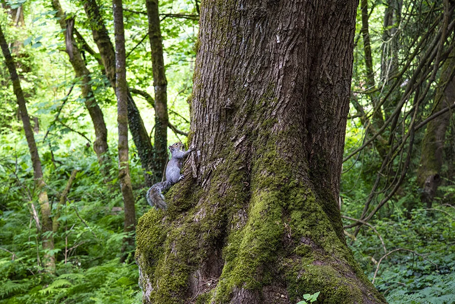 DSC_6887.jpg