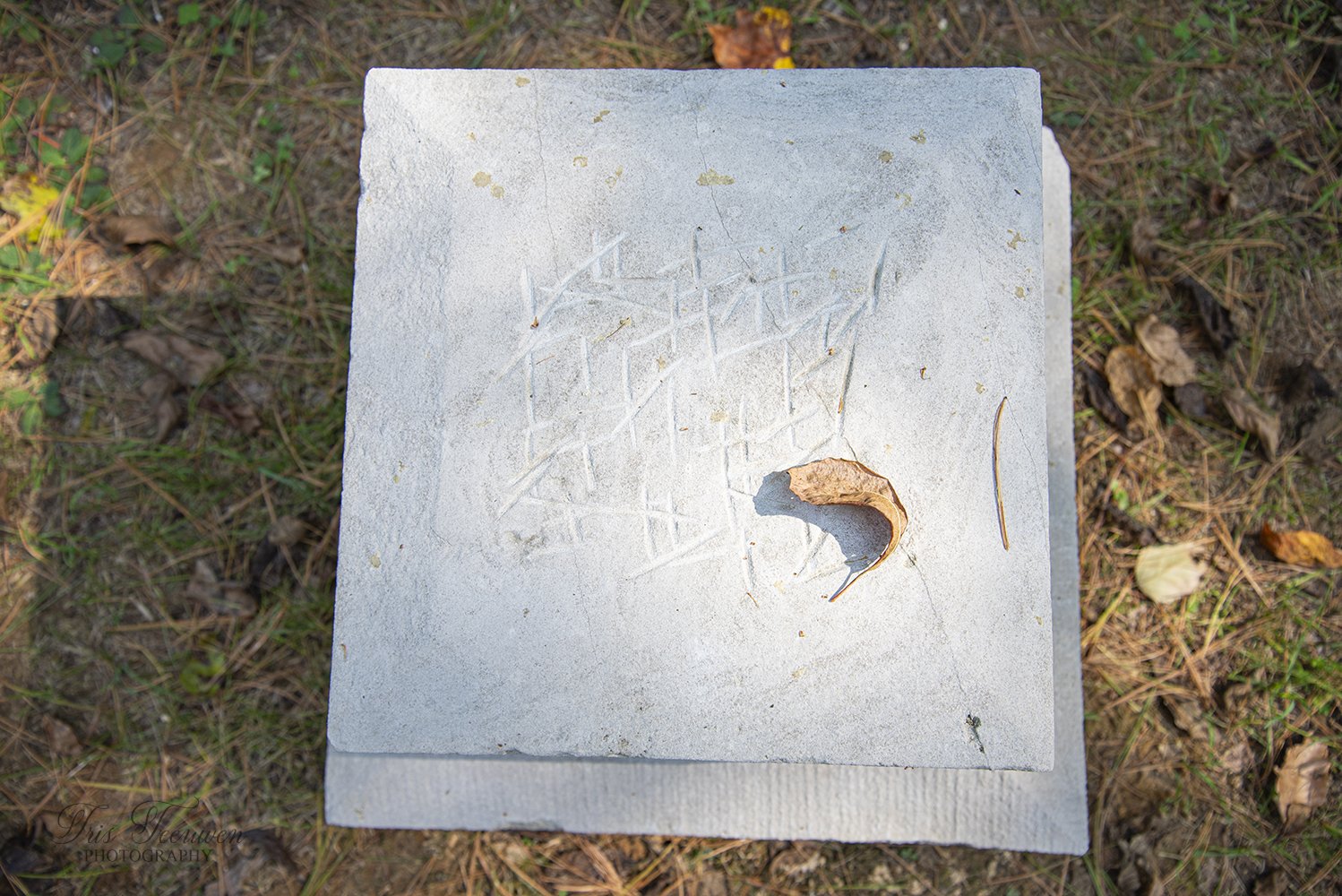 Teeuwen_2024_10_05_Stepp cemetery_IN_0026 copy.jpg