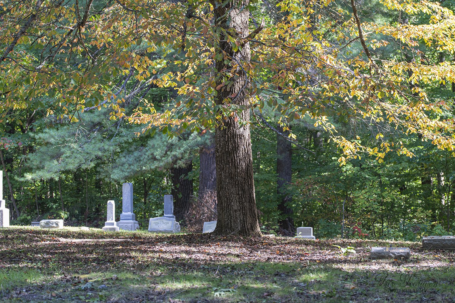 Teeuwen_2024_10_05_Stepp cemetery_IN_0102 copy.jpg