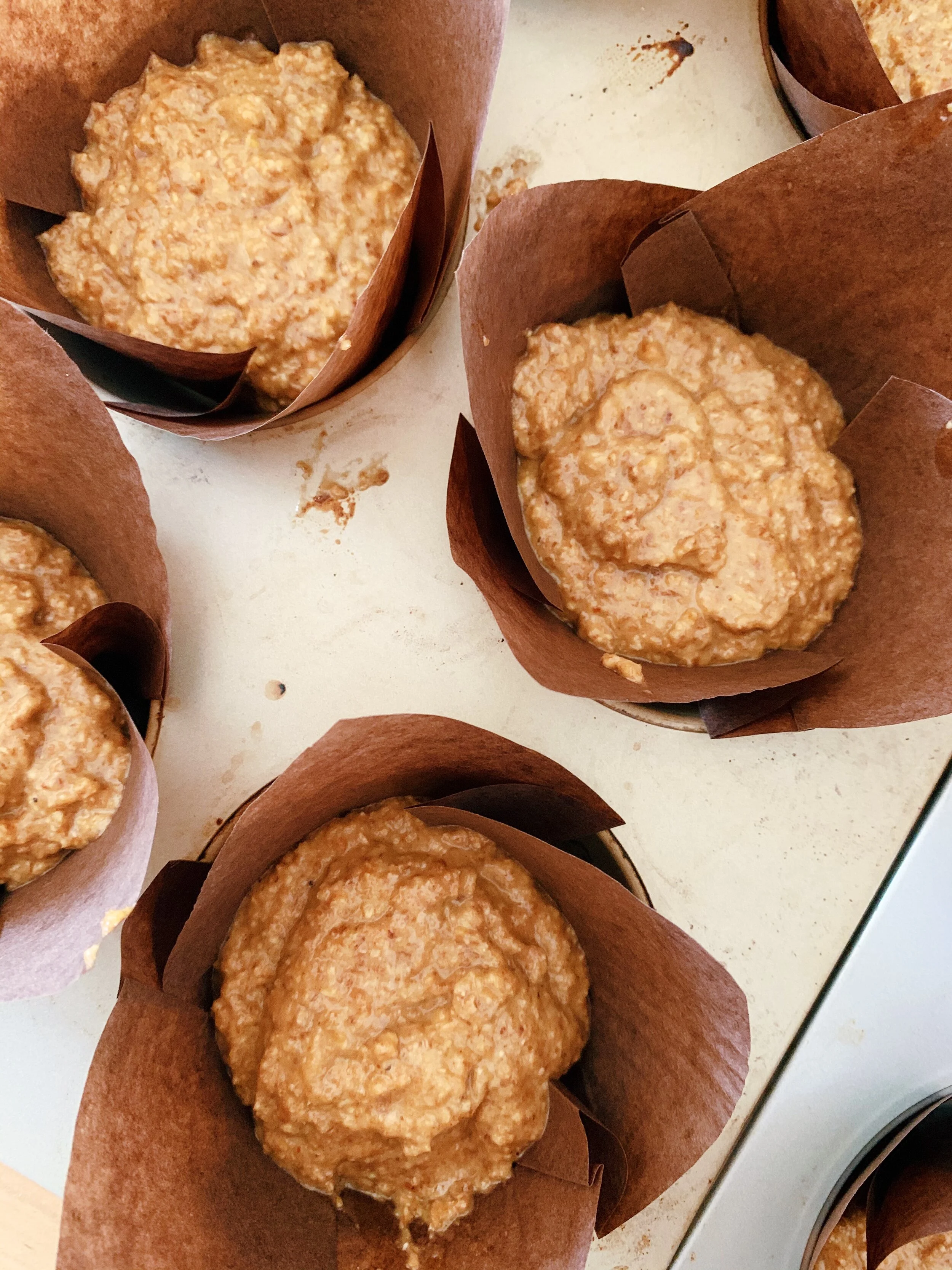 bran muffin 1.JPG