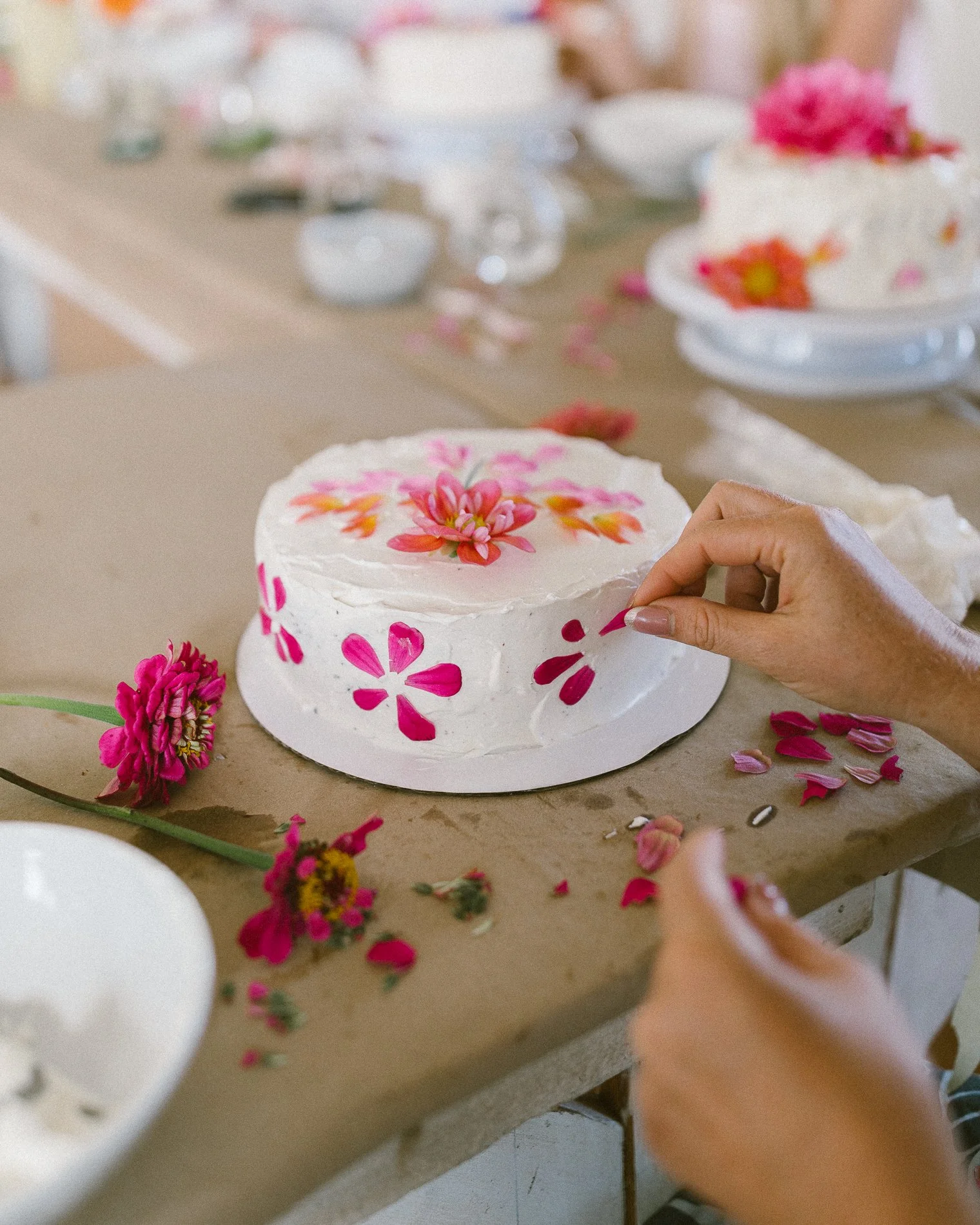 Person placing pink and red flower petals on a white cake decorated with floral icing. A table with cake decorating supplies and flower petals is visible.