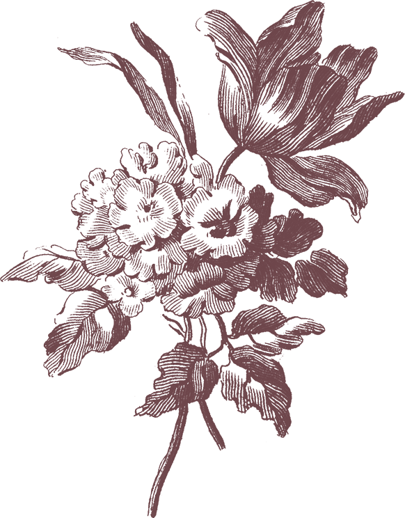 Illustration of a floral bouquet with large flowers and leaves in a dark purple color on a black background.