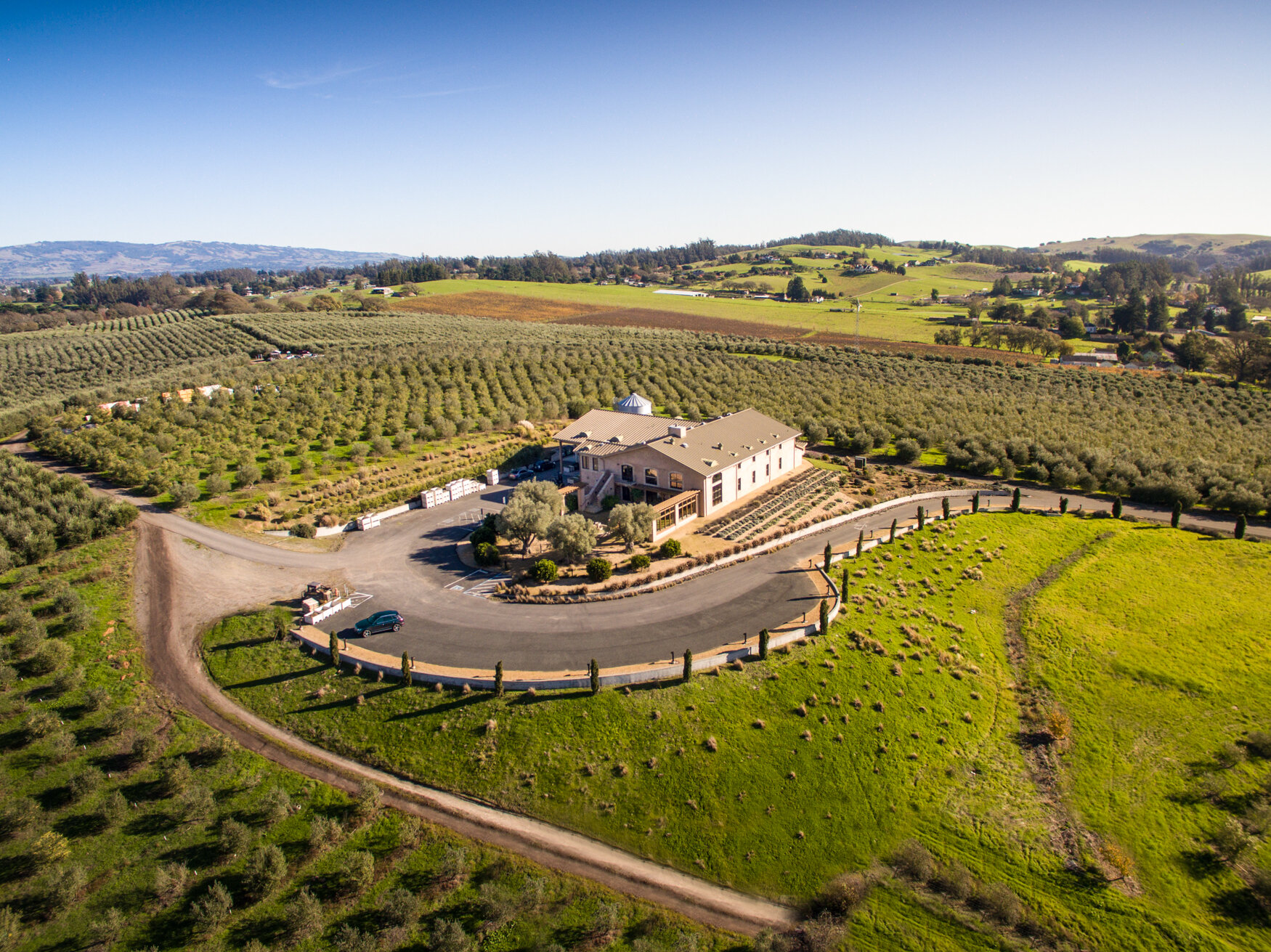 Olive Farm in Sebastopol, CA-6.jpg