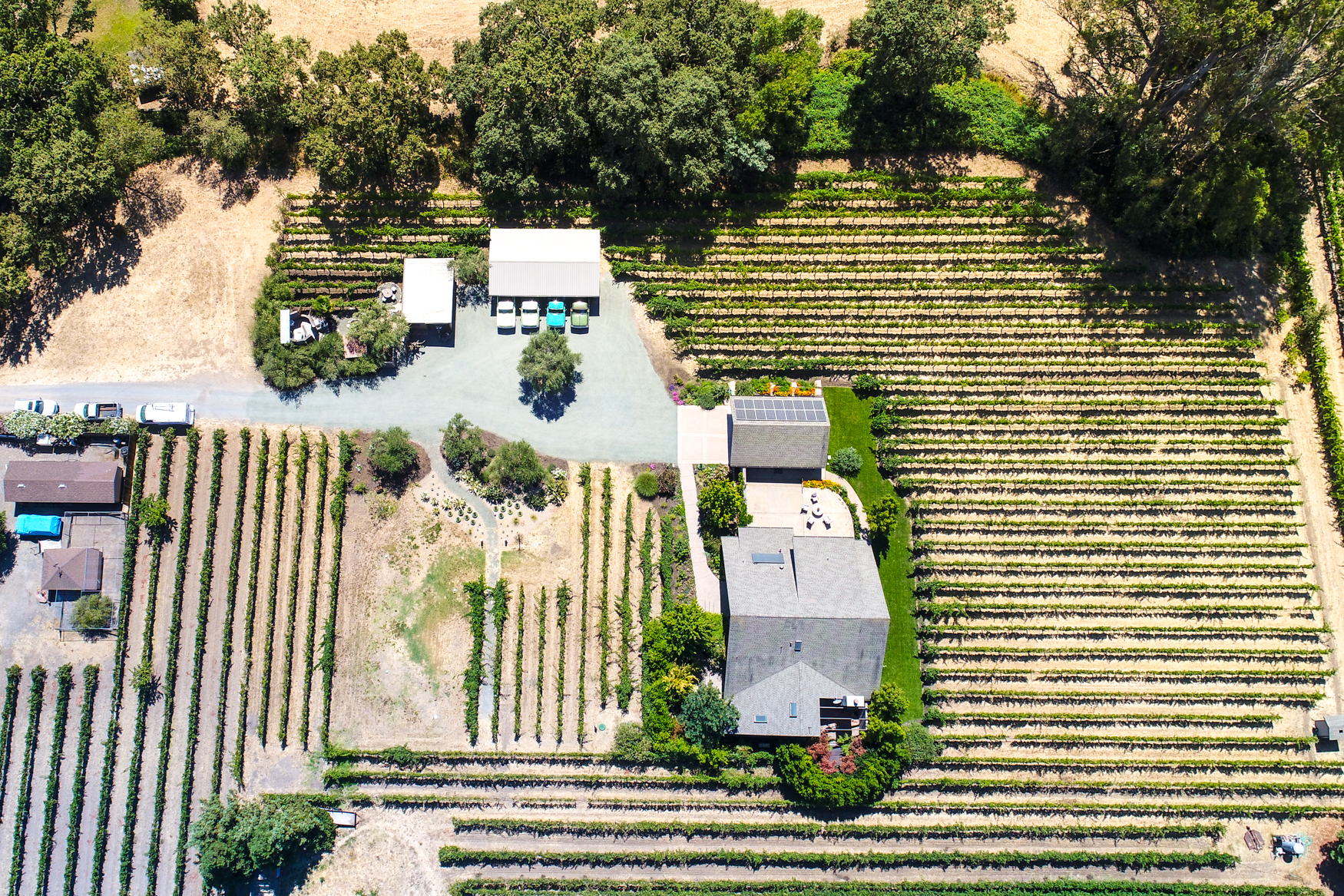 Sonoma Aerials, CA - photographs by brightroomSF Architectural Photography San Francisco-2.jpg