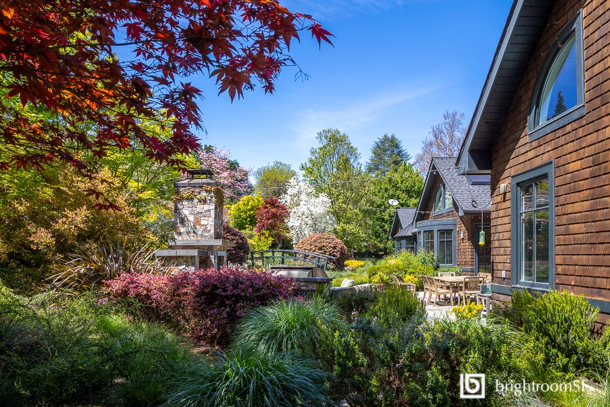 Nature comes alive in March in a beautiful garden captured in a Silicon Valley Garden