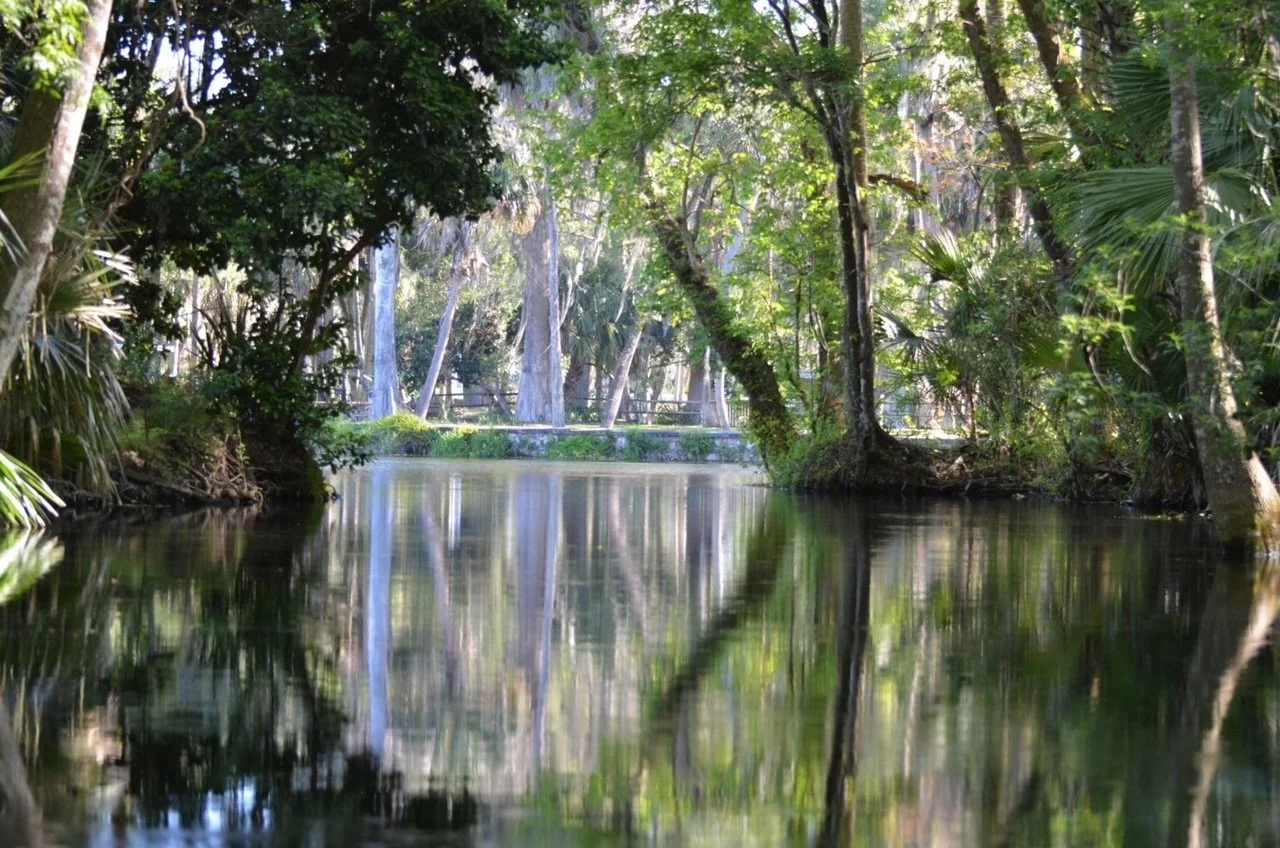 silver springs river.JPG