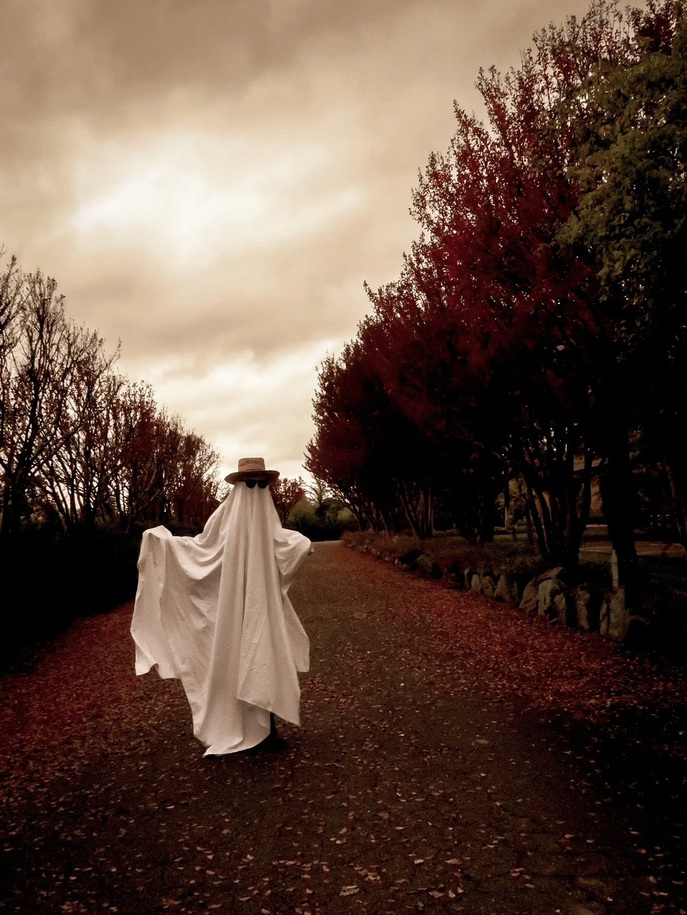 HALLOWEEN PARTY - SPIRITS &amp; SPIRITS