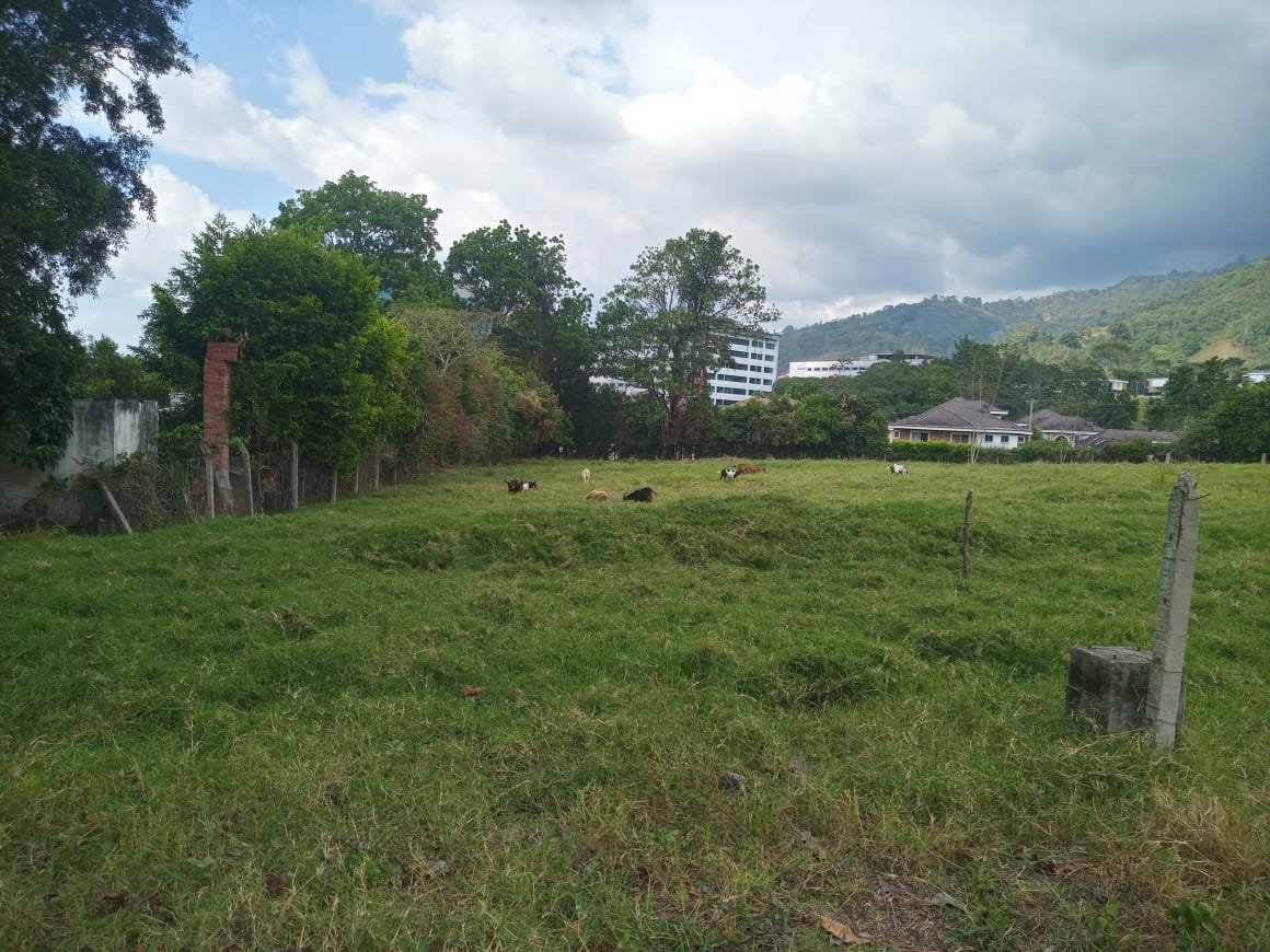 Lote en Venta - Los Colomos - Menzuly, Piedecuesta Santander - 12.454 m2 - $ 7.600.000.000