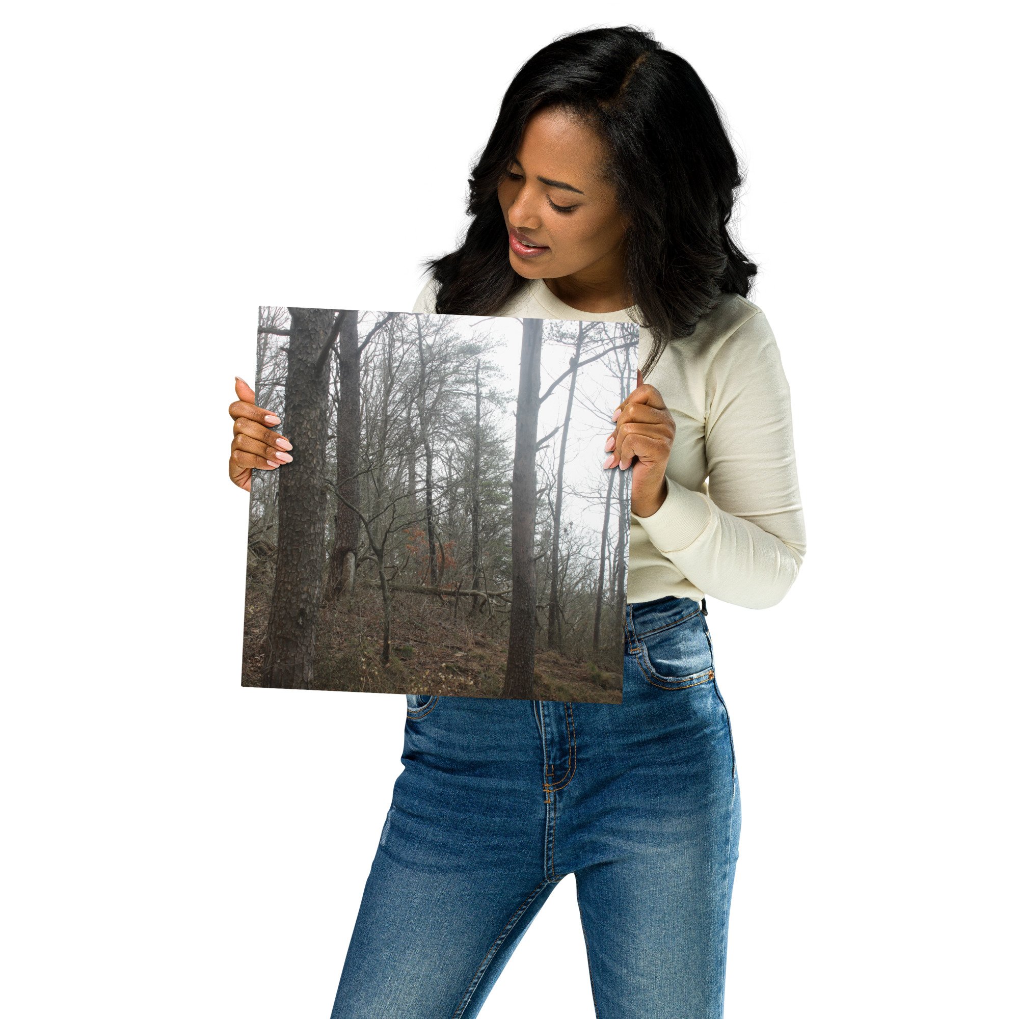 Wood Trail Metal prints