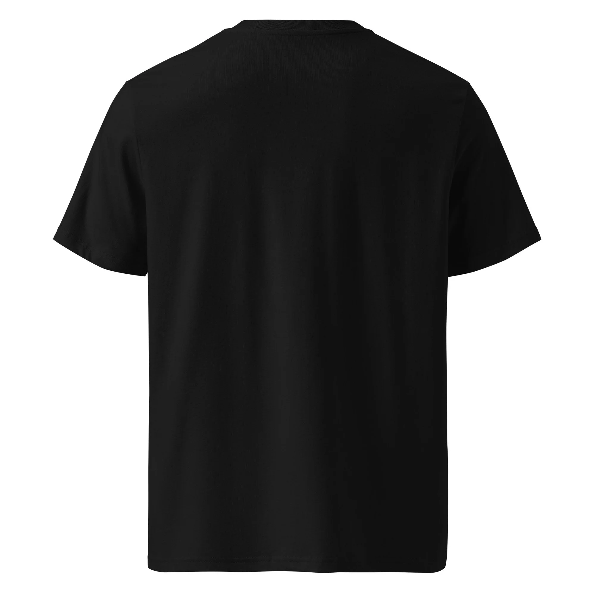 unisex-organic-ribbed-neck-t-shirt-black-back-682aefd857e3e.jpg