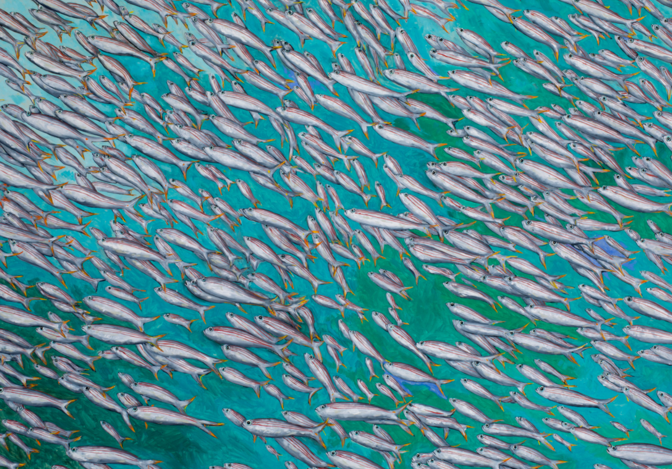 Public Exhibition Viewing: The Life Aquatic. Oceanic Visions by Doug Argue