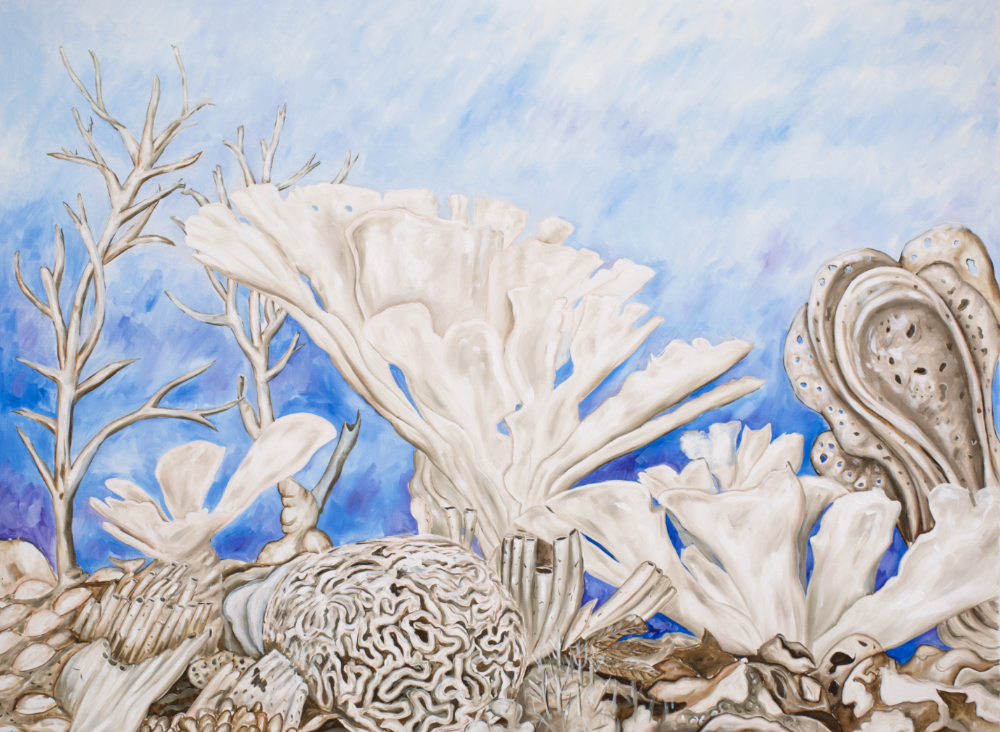 Exhibition and Discussion: On Oceans &amp; Aquatic Life. Perspectives from Art and Science