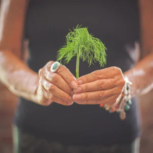 Herbal Goddess I: Herbal Remedies for Women during their Childbearing Years (teenage year-40's)