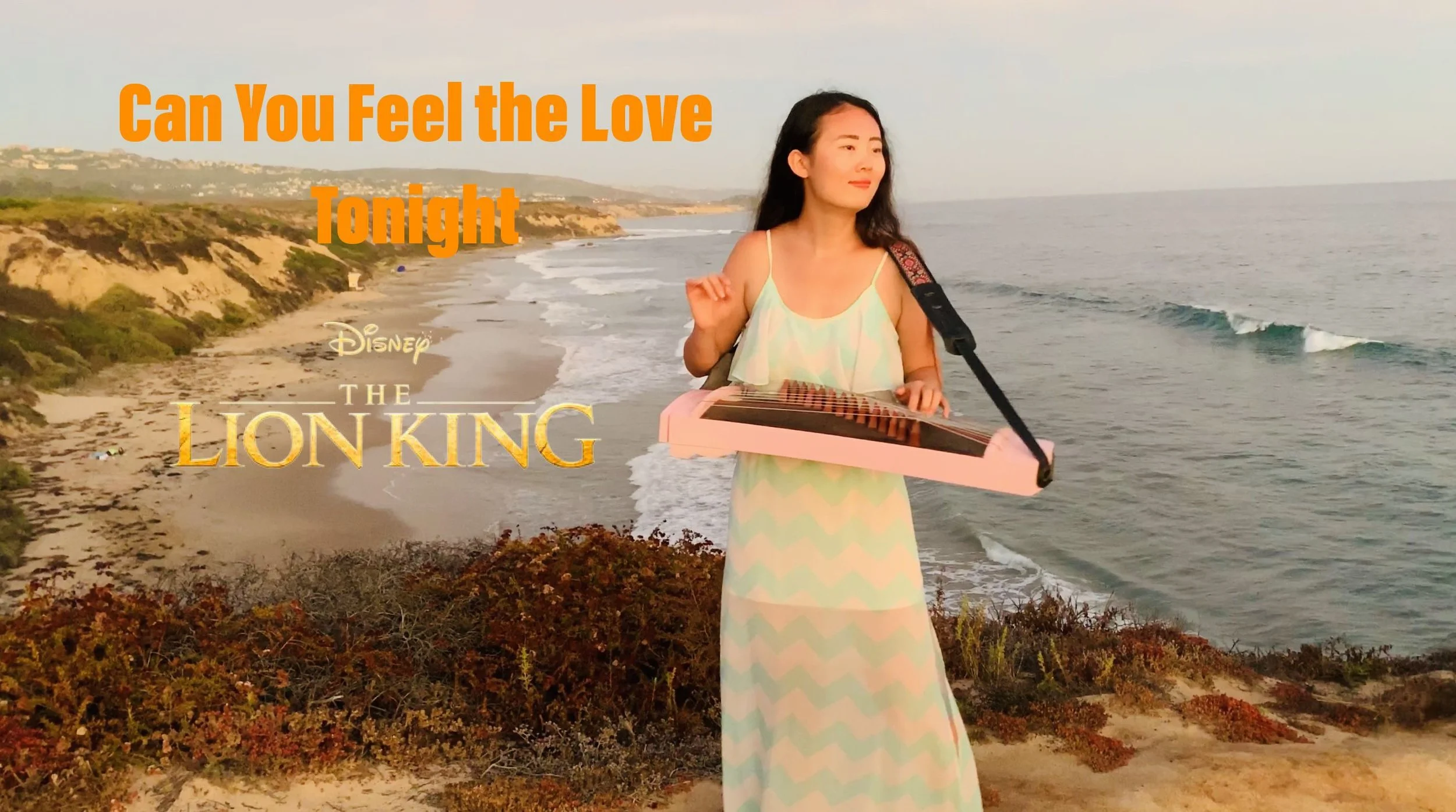 Can you feel the love tonight Faded - Guzheng Cover (Digital download)