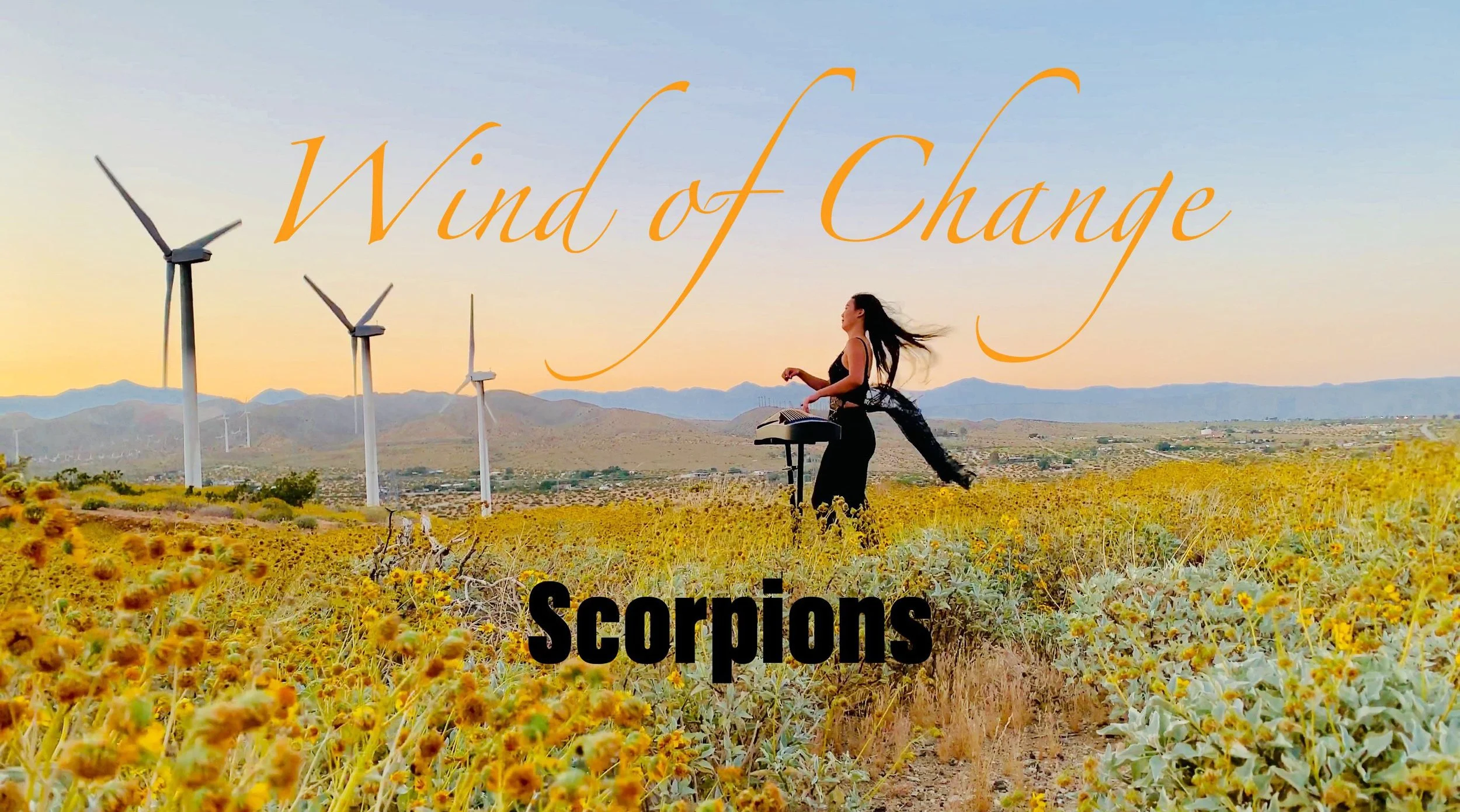 Wind of Change- Guzheng Cover (Digital download)