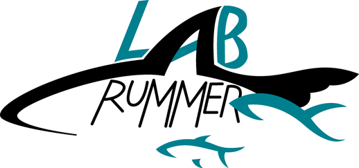 rummer-lab.png