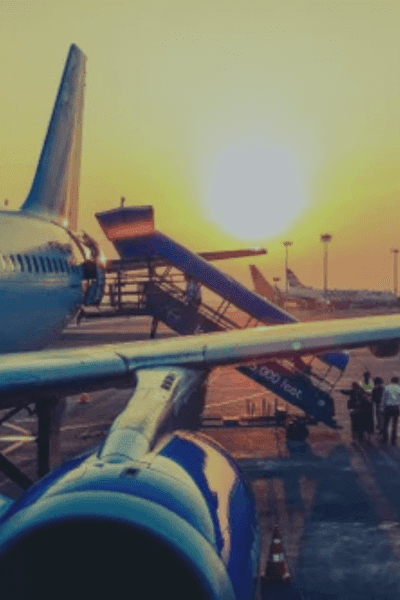 Ammolite Insights: February 5, 2026