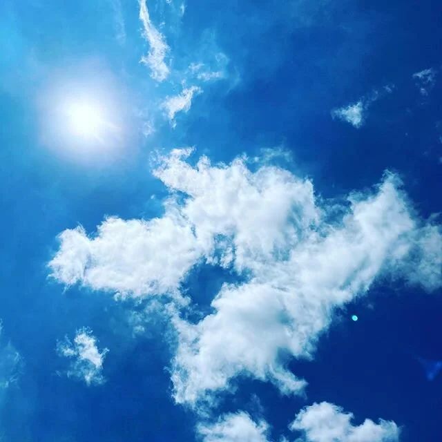 Happy Easter everyone! 🐰🐣🕊🌱 Let's be thankful for everything in this season. There&rsquo;s still a lot to be grateful for. If we're lucky enough to have good health, food on our tables and a roof over our head, surrounded by friends and family, l