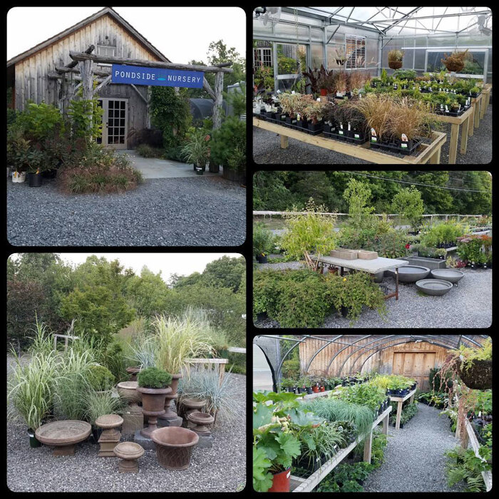 Around Town Nurseries and Florists in the Hudson Valley — NIID