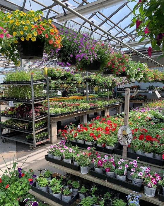 Around Town Nurseries and Florists in the Hudson Valley — NIID