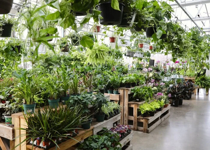 Around Town Nurseries and Florists in the Hudson Valley — NIID
