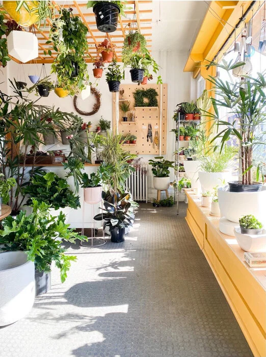 Around Town Nurseries and Florists in the Hudson Valley — NIID
