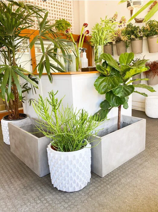 Around Town Nurseries and Florists in the Hudson Valley — NIID