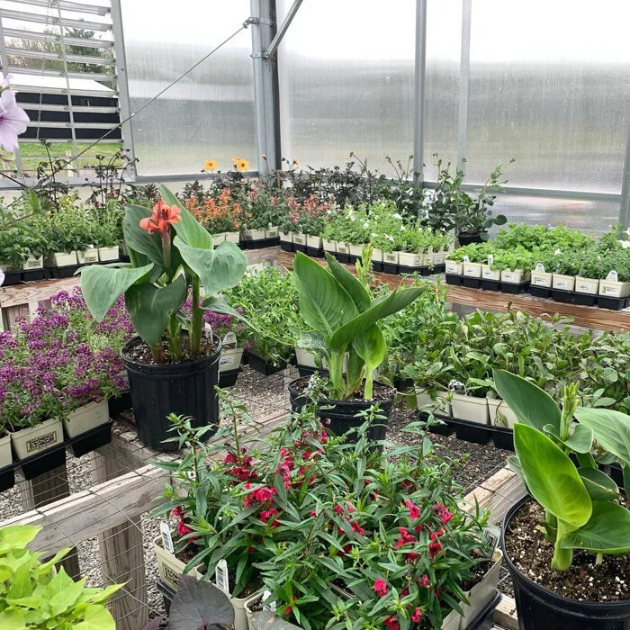 Around Town Nurseries and Florists in the Hudson Valley — NIID