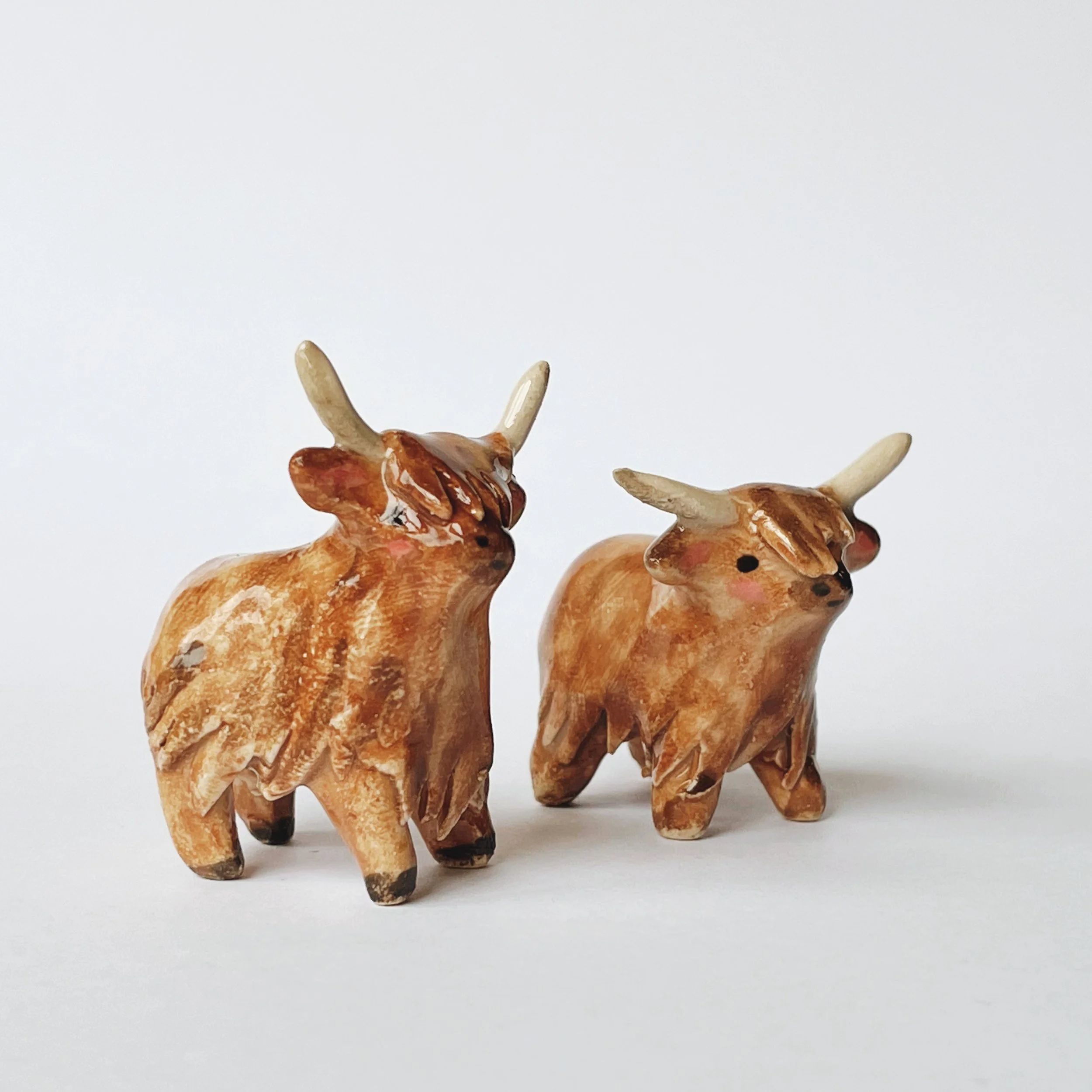 Joy Nevada Highland cows.JPG