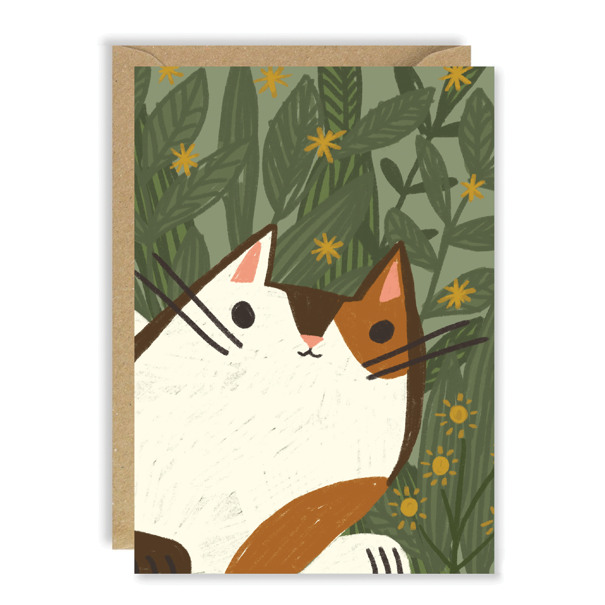 JNC812 Tortoise Cat.png