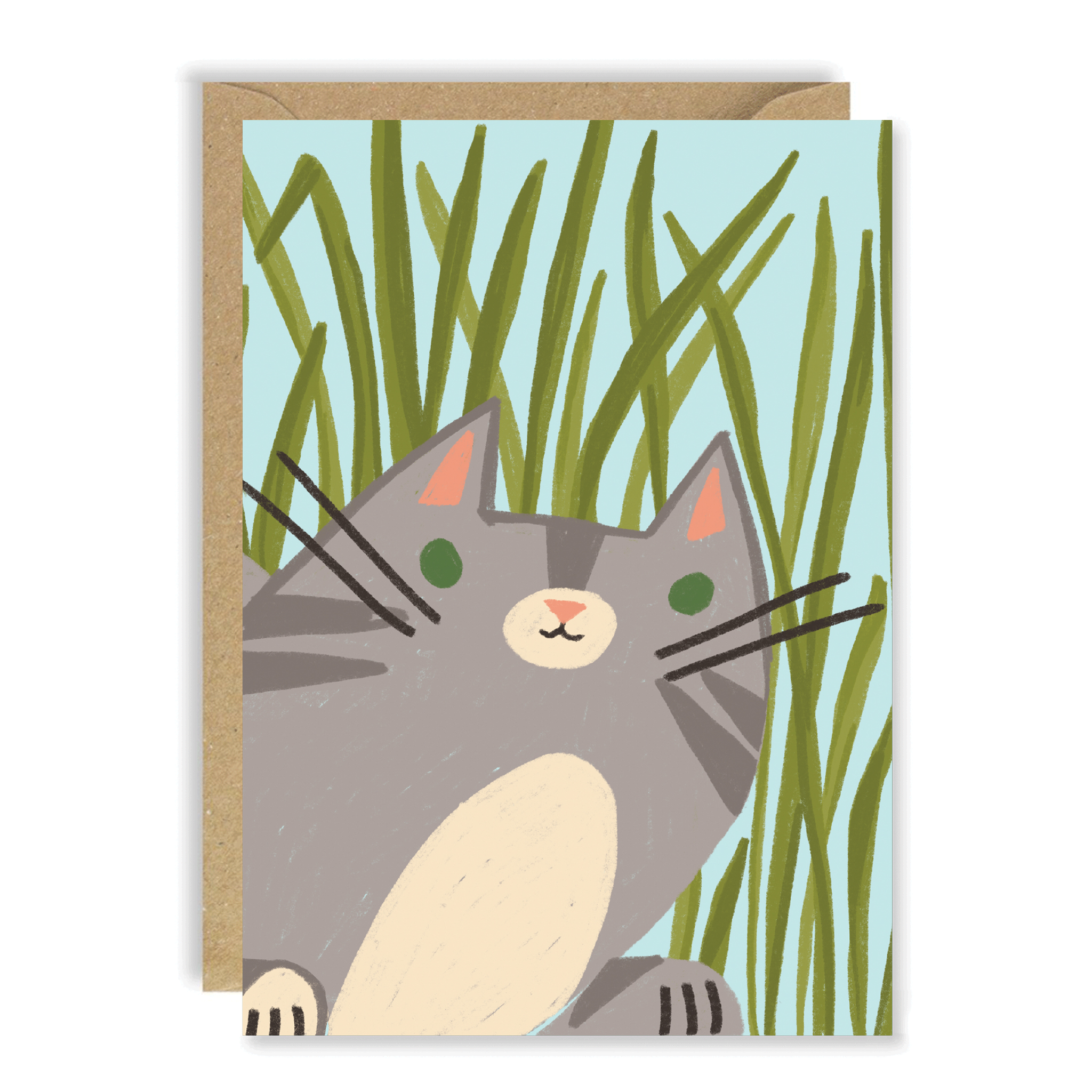 JNC815 Grey Cat.png