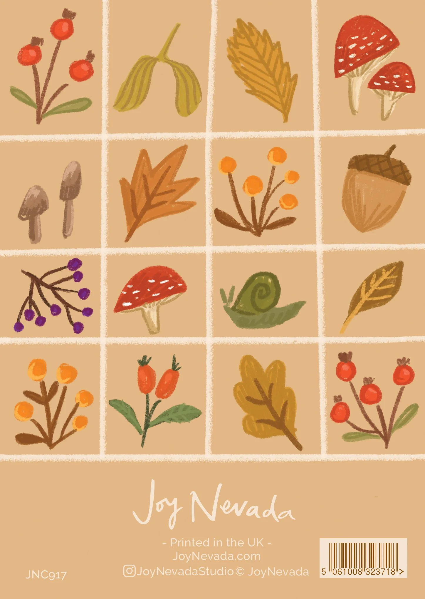 JNC917 Autumn Moments Grid Pattern BACK.jpg