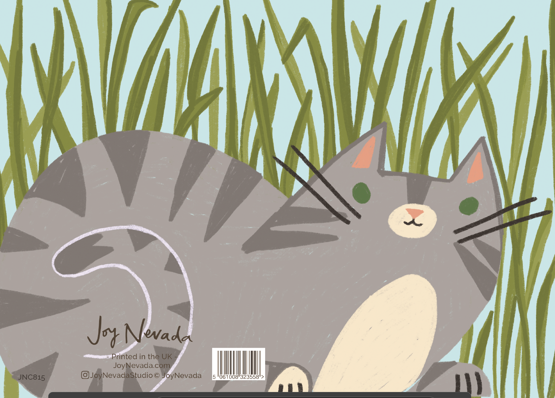 grey cat.png