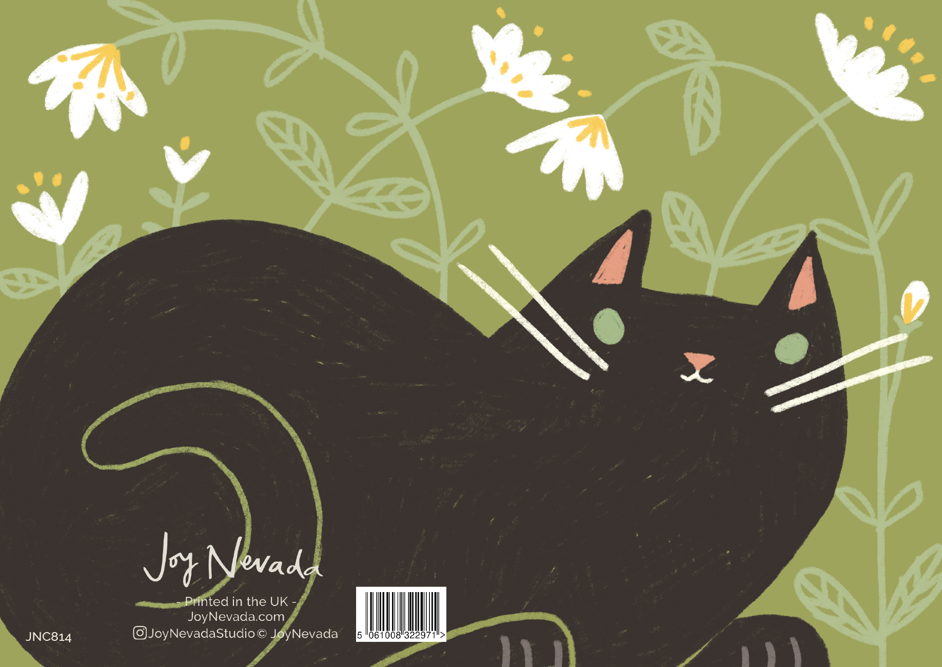 black cat.png