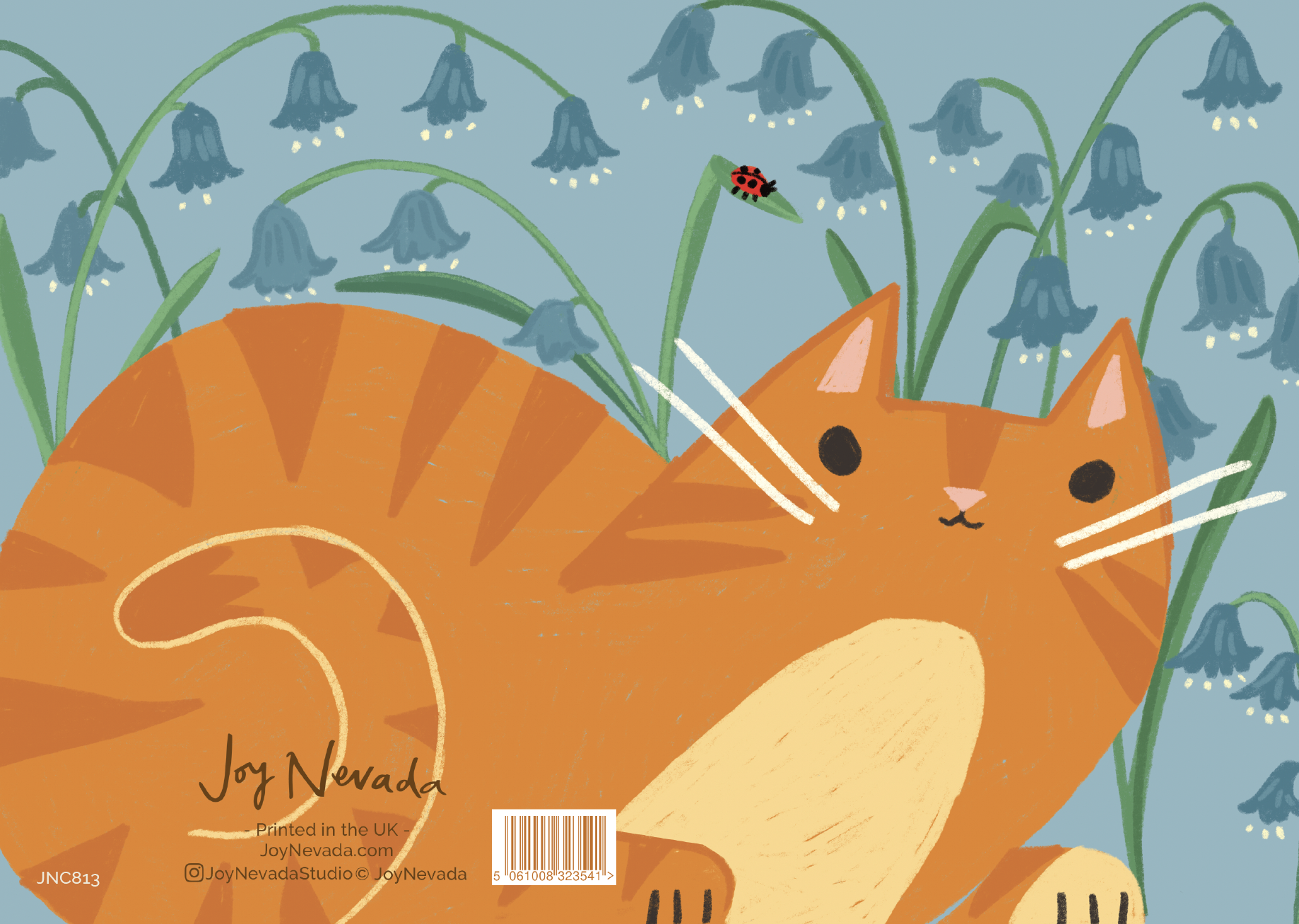 ginger cat.png