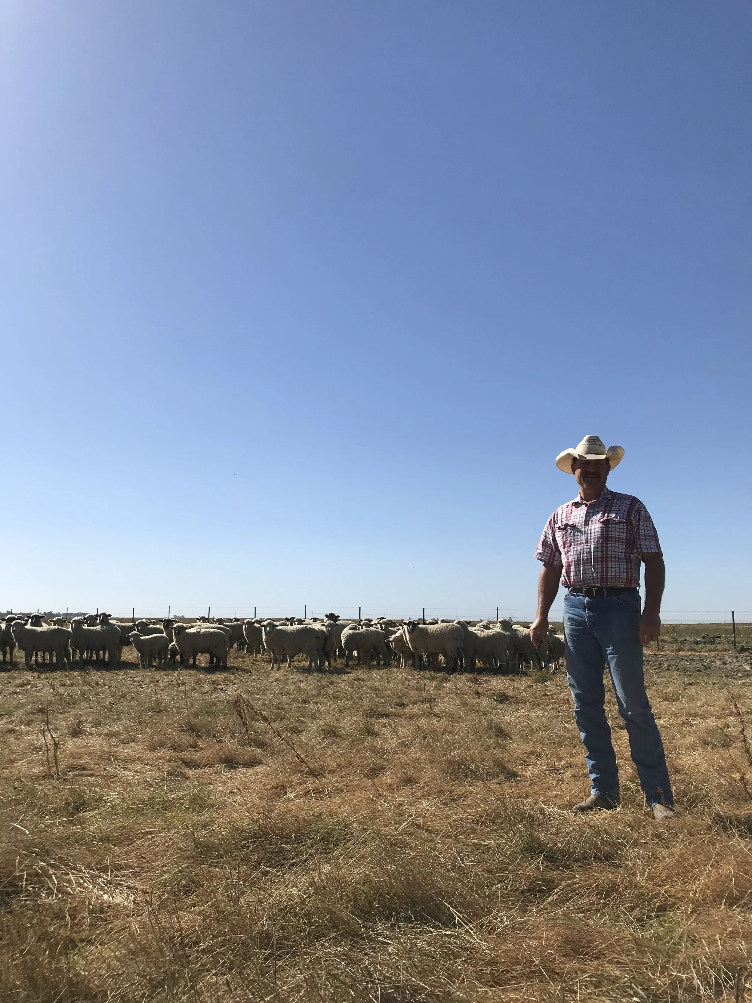 emigh sacramento ca on About Emigh Lamb