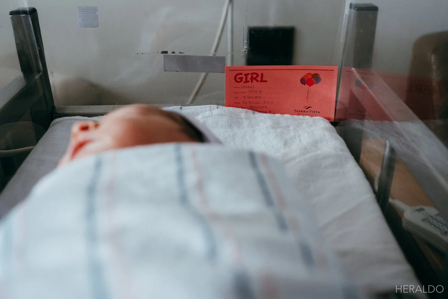 mabel-162849.jpg