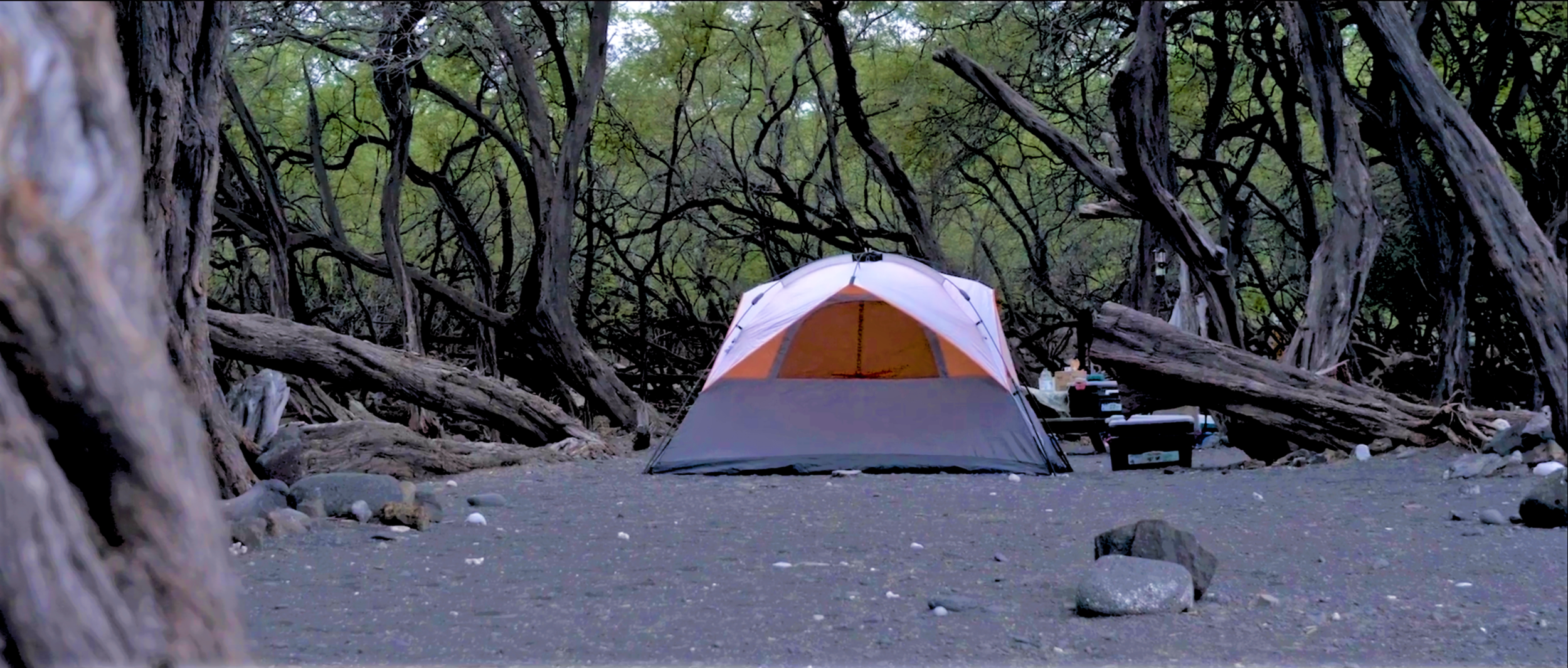Work Areas_Camping_Campsite1_ed.png