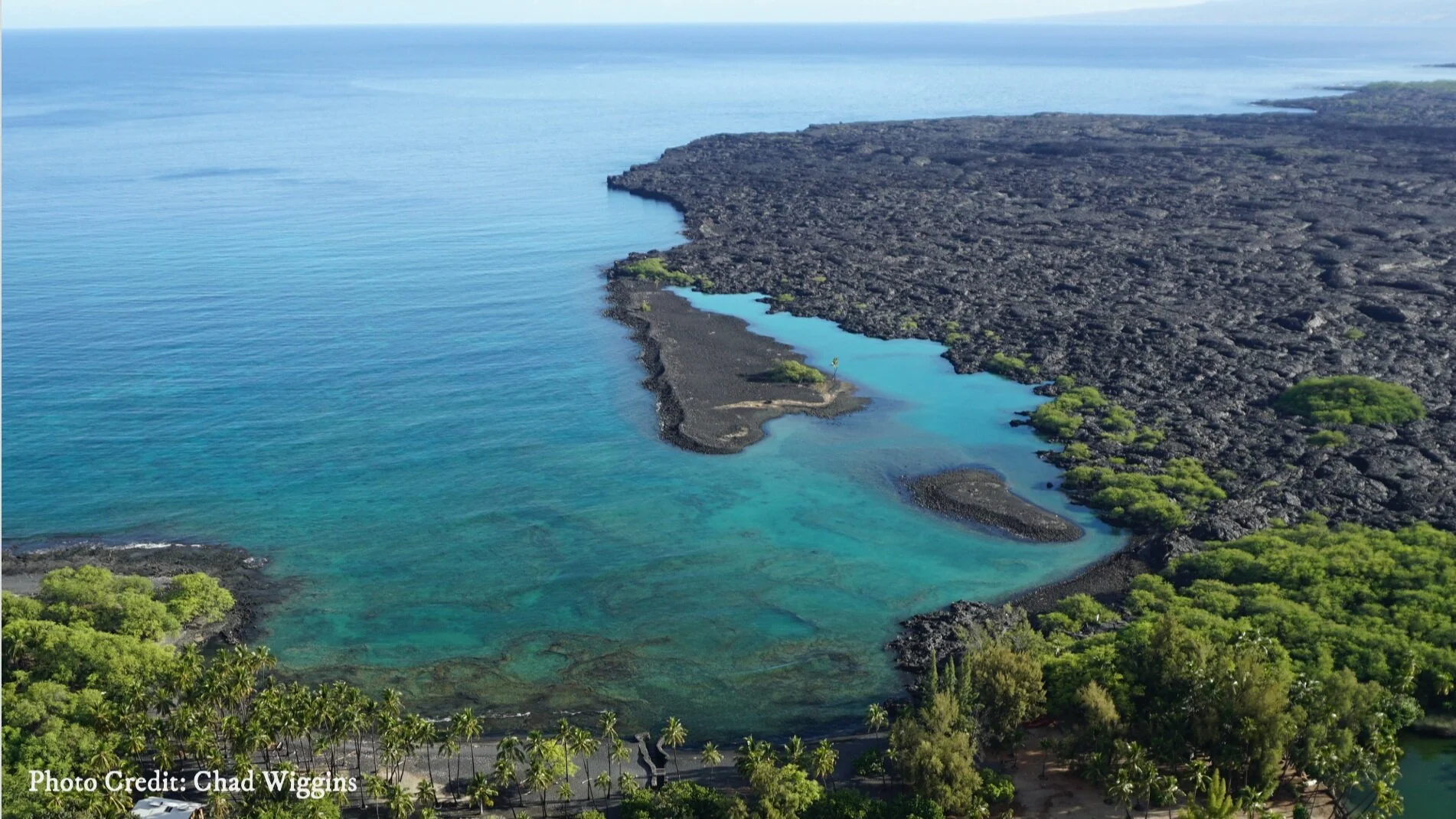 Aloha Fridays Live with Hui Aloha Kīholo: Kīholo Kupaianaha