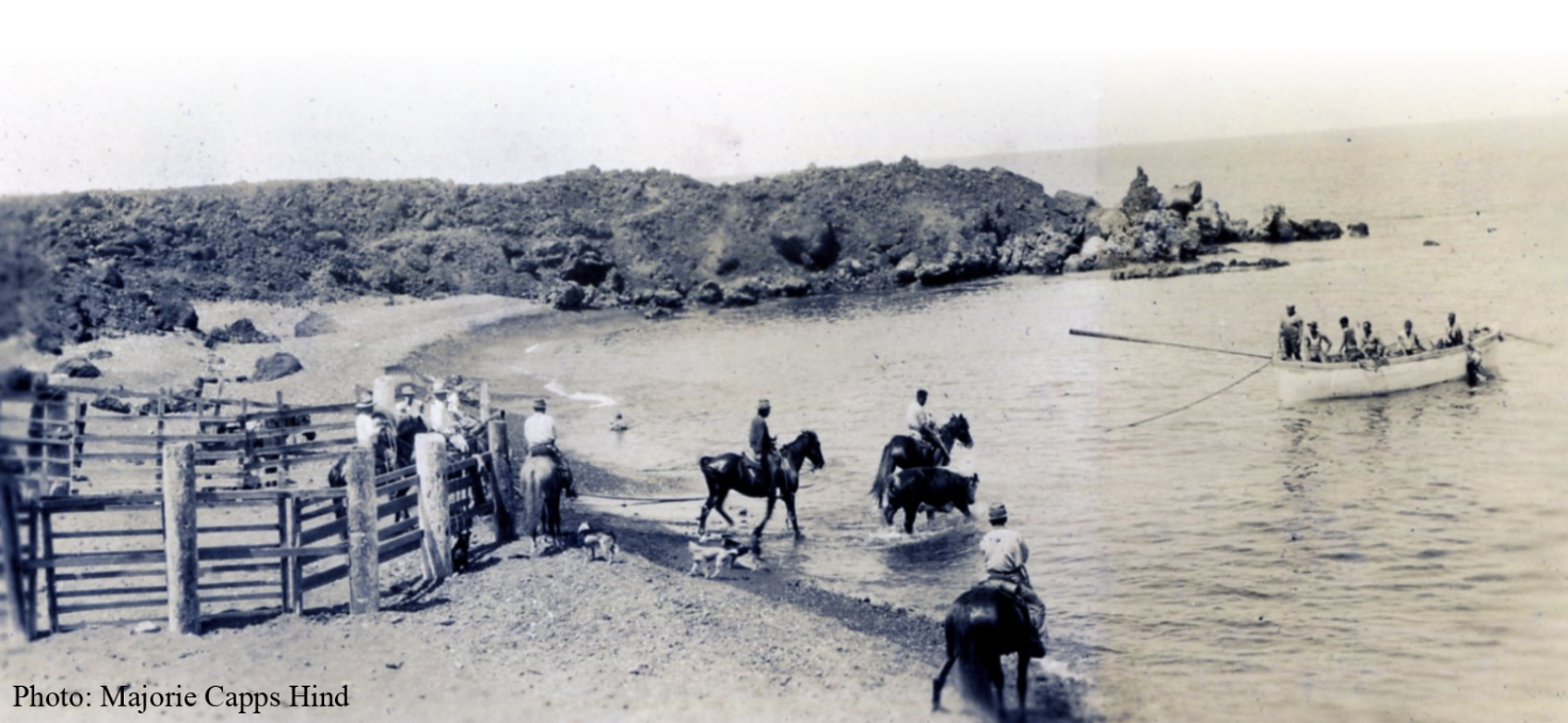Aloha Fridays Live: Puʻuwaʻawaʻa - the Ranching Era