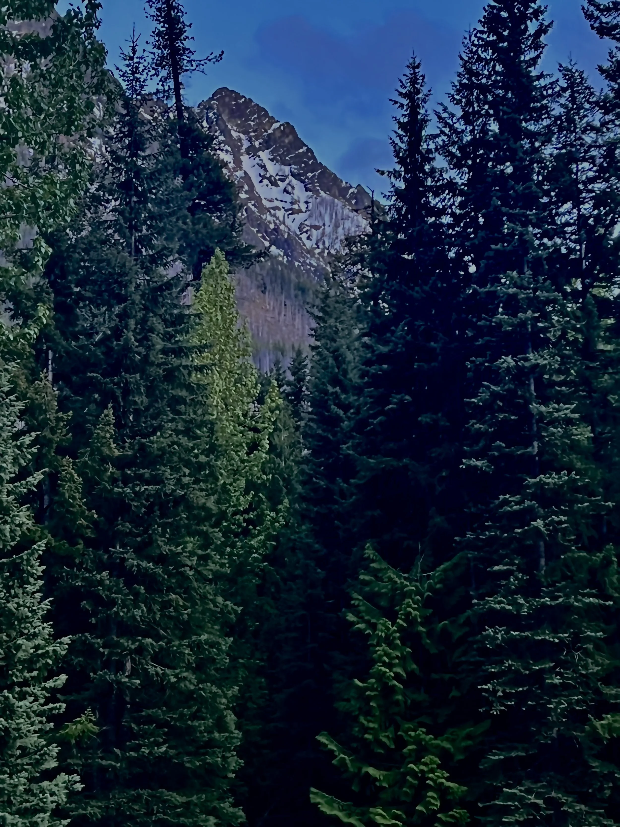 IMG_5548.jpeg